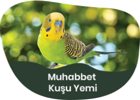 Muhabbet Kuşu Yemi