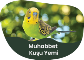Muhabbet Kuşu Yemi