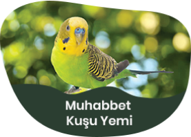 Muhabbet Kuşu Yemi