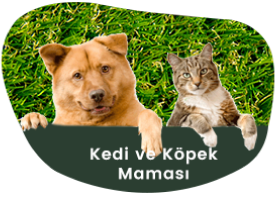 Kedi ve Köpek Maması