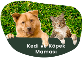 Kedi ve Köpek Maması