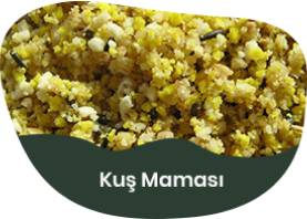 Kuş Maması