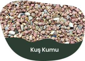 Kuş Kumu ve Vitaminler