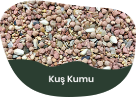 Kuş Kumu ve Vitaminler