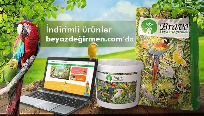 DALDARI KAMPANYA
